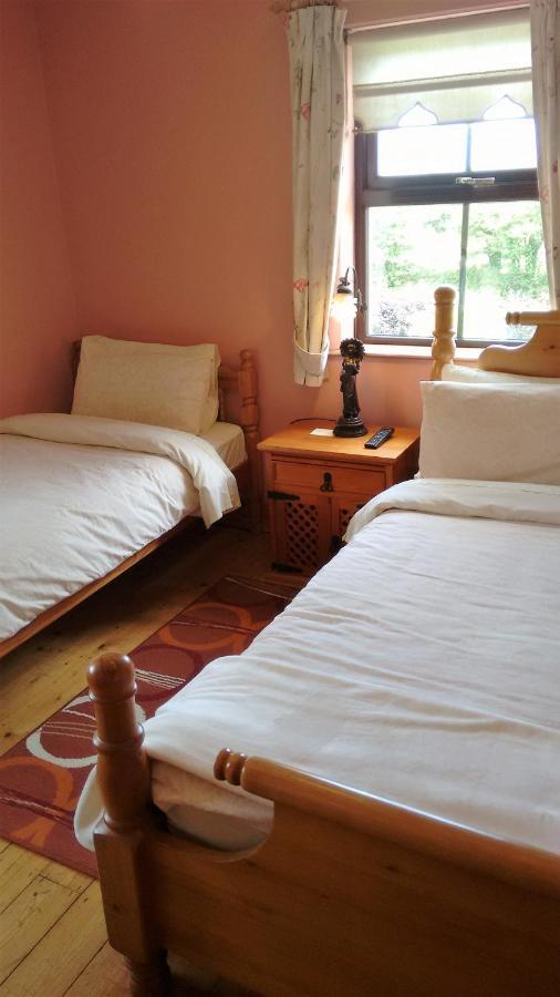 Grannagh Castle House Bed & Breakfast Waterford Bagian luar foto
