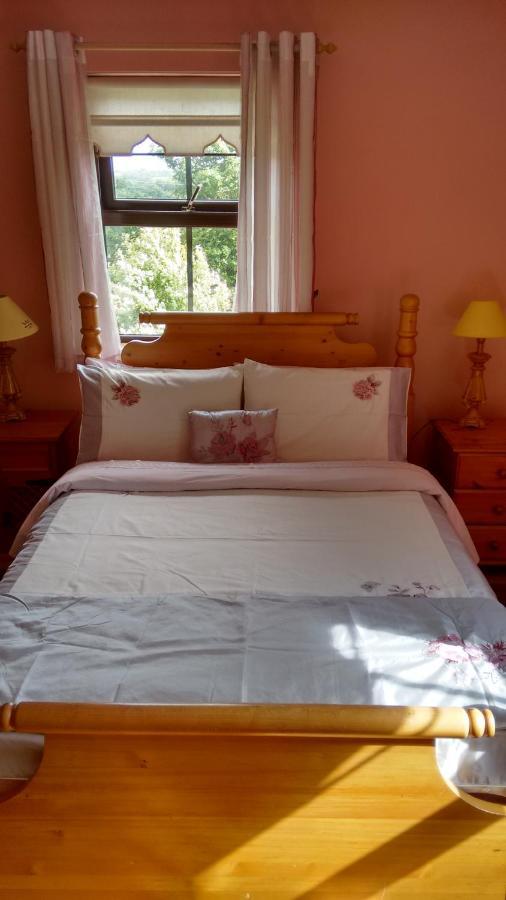 Grannagh Castle House Bed & Breakfast Waterford Bagian luar foto